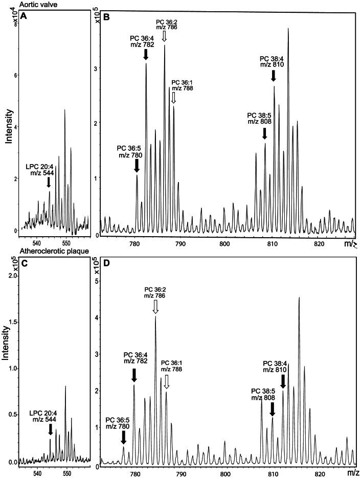 https://cdn.ncbi.nlm.nih.gov/pmc/blobs/9024/3676354/41b646b32e0d/pone.0065810.g002.jpg