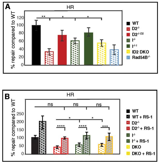https://cdn.ncbi.nlm.nih.gov/pmc/blobs/9024/5714191/d8705dba517f/gkx847fig8.jpg