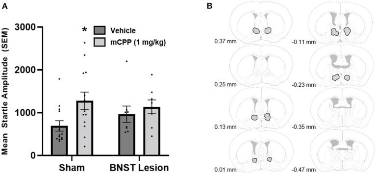 https://cdn.ncbi.nlm.nih.gov/pmc/blobs/9024/9880271/7ace054d4004/fnsyn-14-1067420-g0003.jpg