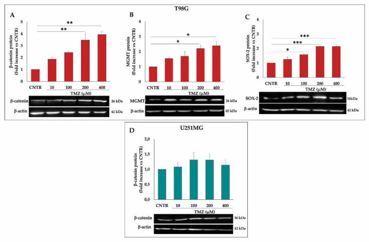 https://cdn.ncbi.nlm.nih.gov/pmc/blobs/9025/8835858/20f6318e9cad/ijms-23-01545-g003.jpg