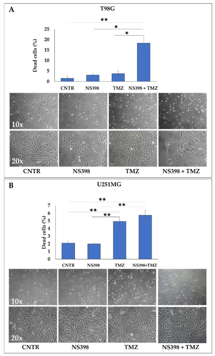 https://cdn.ncbi.nlm.nih.gov/pmc/blobs/9025/8835858/7a23f4309b1d/ijms-23-01545-g005.jpg