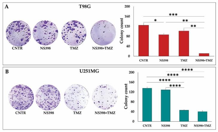 https://cdn.ncbi.nlm.nih.gov/pmc/blobs/9025/8835858/7e4f07eb38a9/ijms-23-01545-g008.jpg