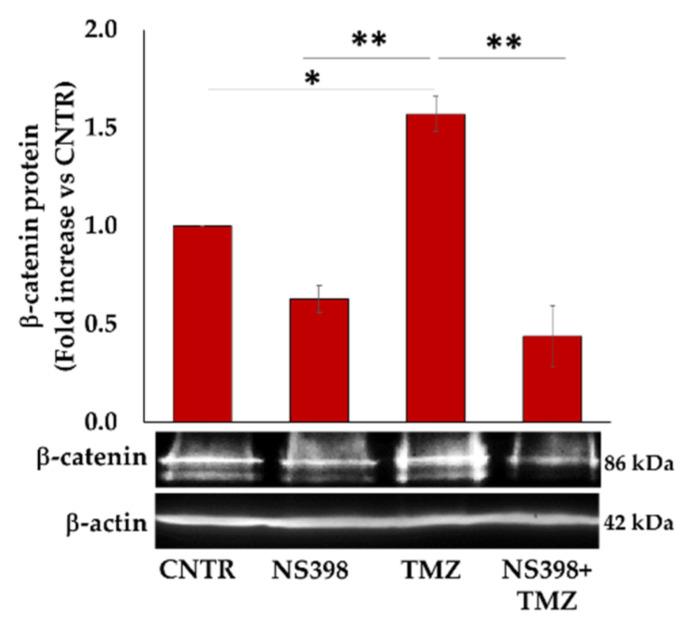 https://cdn.ncbi.nlm.nih.gov/pmc/blobs/9025/8835858/98c6a05dfecd/ijms-23-01545-g011.jpg