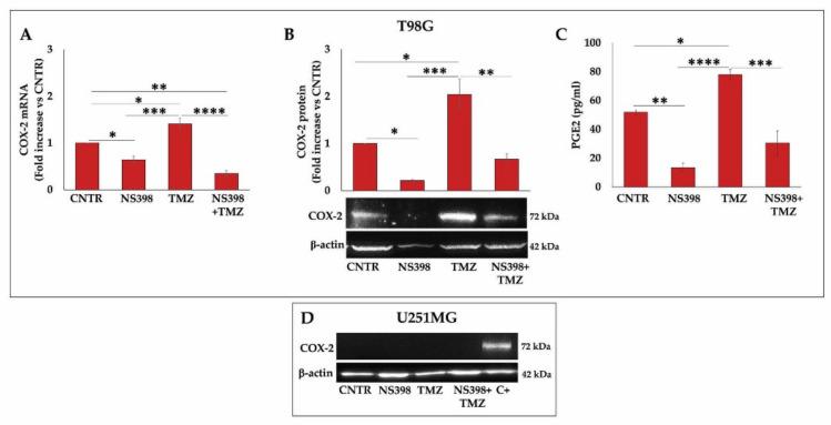 https://cdn.ncbi.nlm.nih.gov/pmc/blobs/9025/8835858/a89e14aa563e/ijms-23-01545-g009.jpg