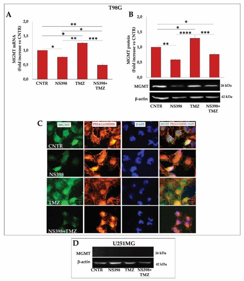 https://cdn.ncbi.nlm.nih.gov/pmc/blobs/9025/8835858/aee8a4744a98/ijms-23-01545-g010.jpg