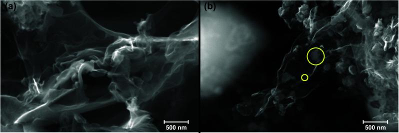 https://cdn.ncbi.nlm.nih.gov/pmc/blobs/902a/10884380/e60f1b754eaa/11671_2024_3977_Fig2_HTML.jpg