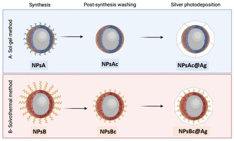 https://cdn.ncbi.nlm.nih.gov/pmc/blobs/902a/11242515/4709bc7b8b7d/materials-17-03158-g002.jpg