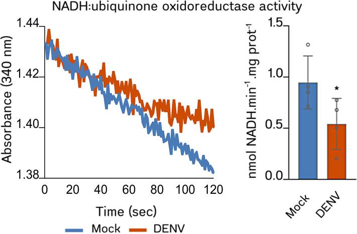 https://cdn.ncbi.nlm.nih.gov/pmc/blobs/902b/11288018/3a08381b6212/msphere.00406-24.f004.jpg