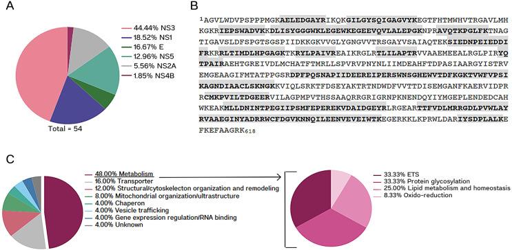 https://cdn.ncbi.nlm.nih.gov/pmc/blobs/902b/11288018/d8d38be4df10/msphere.00406-24.f001.jpg