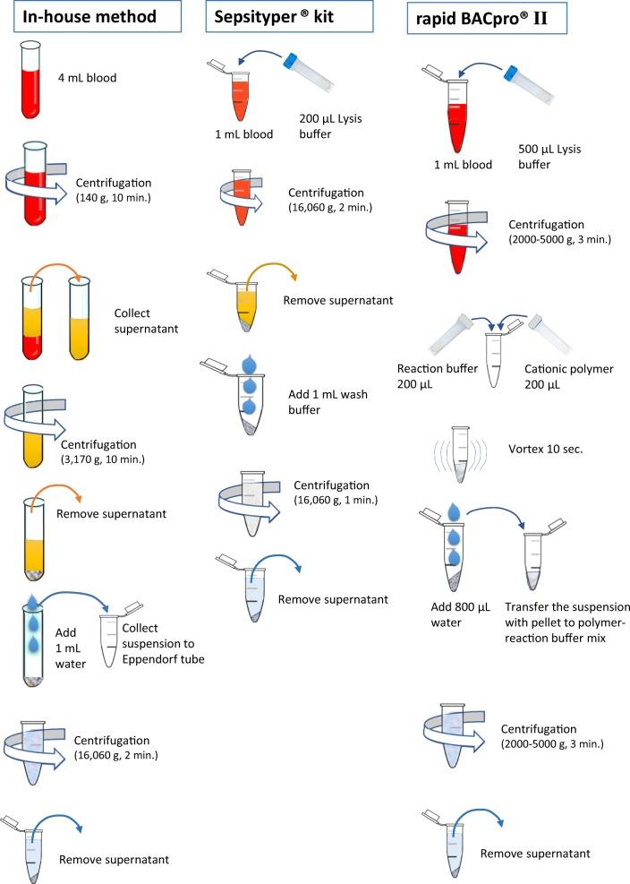 https://cdn.ncbi.nlm.nih.gov/pmc/blobs/902b/6800852/da8a859e0326/10096_2019_3654_Fig1_HTML.jpg