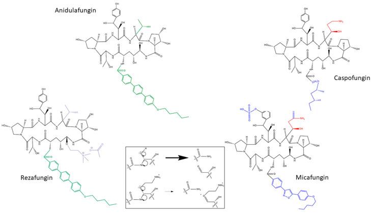 https://cdn.ncbi.nlm.nih.gov/pmc/blobs/902c/7711656/c5054c60d9d7/jof-06-00262-g001.jpg