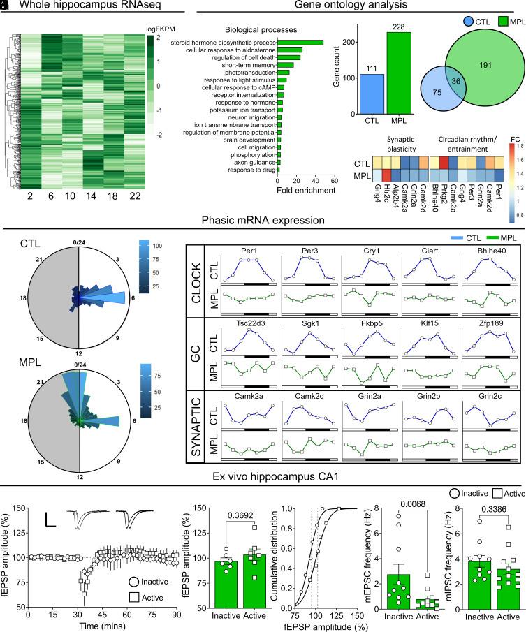 https://cdn.ncbi.nlm.nih.gov/pmc/blobs/902e/10104554/0e424fb40988/pnas.2211996120fig03.jpg