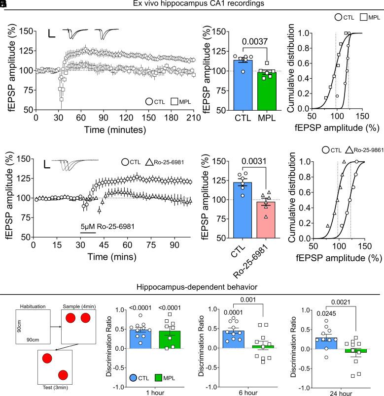https://cdn.ncbi.nlm.nih.gov/pmc/blobs/902e/10104554/9dd69b612352/pnas.2211996120fig04.jpg