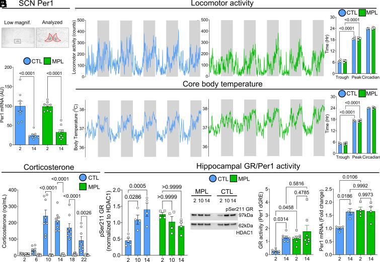 https://cdn.ncbi.nlm.nih.gov/pmc/blobs/902e/10104554/e01516a9a610/pnas.2211996120fig01.jpg