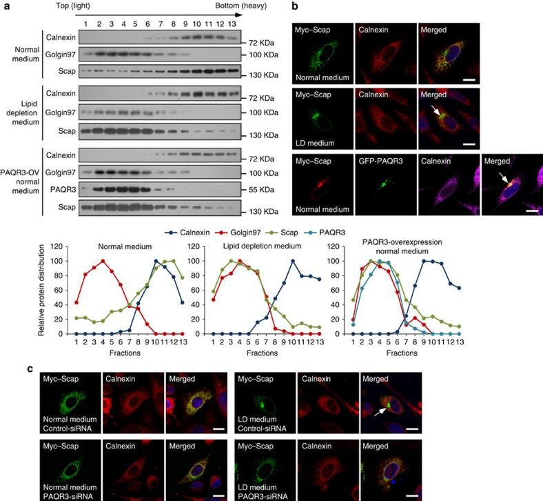 https://cdn.ncbi.nlm.nih.gov/pmc/blobs/9030/4560833/939cd8011c8b/ncomms9100-f2.jpg