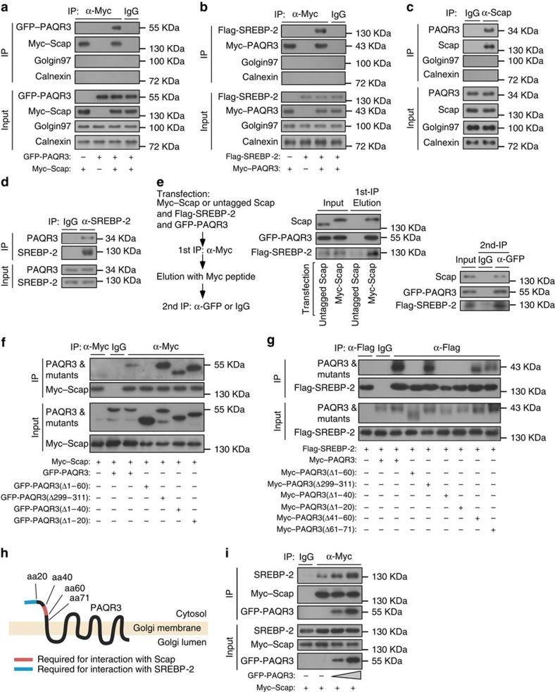 https://cdn.ncbi.nlm.nih.gov/pmc/blobs/9030/4560833/d4dd75b05cf4/ncomms9100-f3.jpg