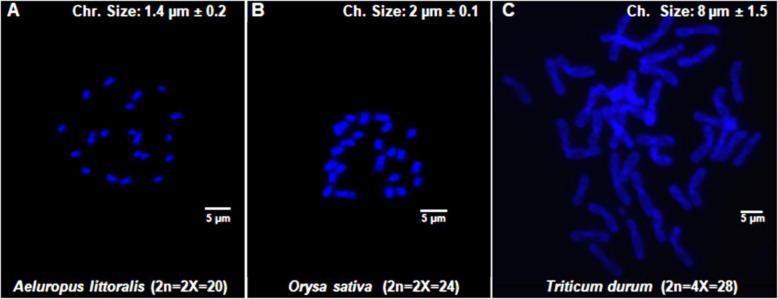 https://cdn.ncbi.nlm.nih.gov/pmc/blobs/9032/12039208/8b38b1f3fad3/12870_2025_6610_Fig2_HTML.jpg