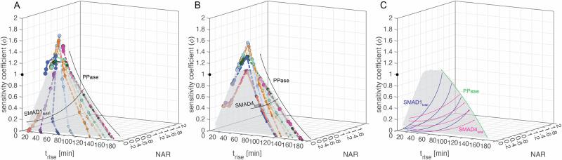 https://cdn.ncbi.nlm.nih.gov/pmc/blobs/9034/11401948/746f474dd858/41540_2024_430_Fig8_HTML.jpg