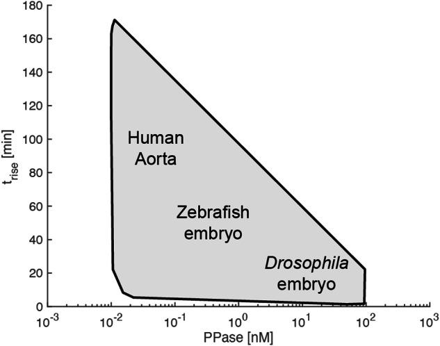 https://cdn.ncbi.nlm.nih.gov/pmc/blobs/9034/11401948/ac04622b61ef/41540_2024_430_Fig9_HTML.jpg