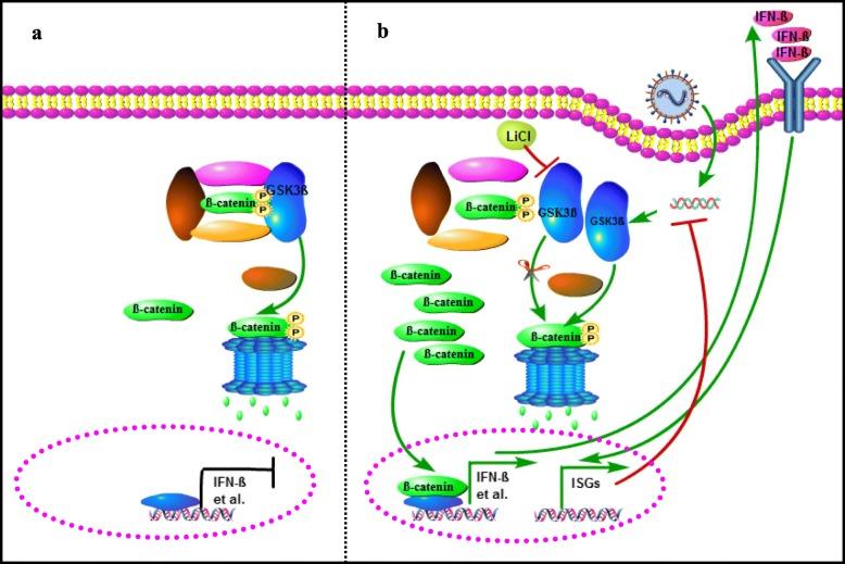 https://cdn.ncbi.nlm.nih.gov/pmc/blobs/9034/7055115/16946d2623a6/12917_2020_2291_Fig5_HTML.jpg