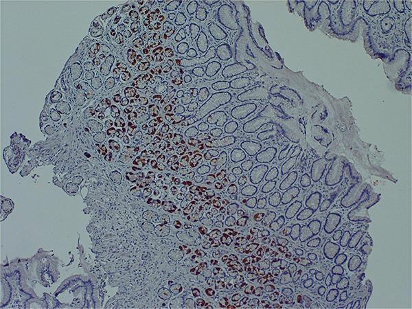 https://cdn.ncbi.nlm.nih.gov/pmc/blobs/9036/8260991/833c44483218/fmicb-12-698169-g002.jpg