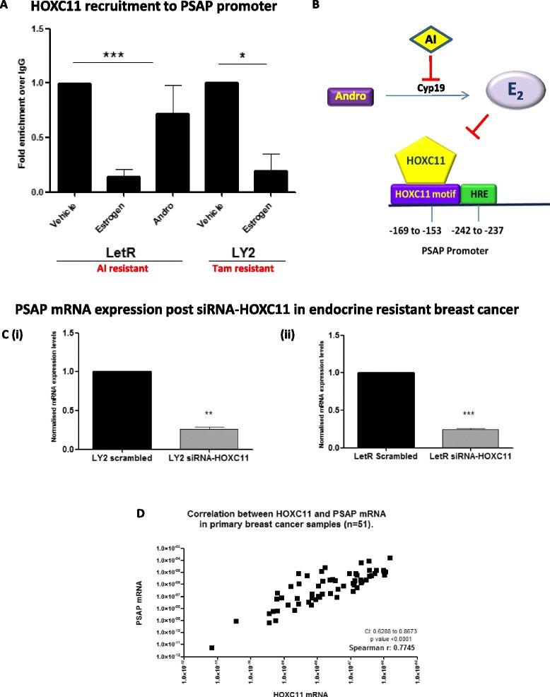 https://cdn.ncbi.nlm.nih.gov/pmc/blobs/903b/4560928/41a1eda898d3/13058_2015_636_Fig2_HTML.jpg