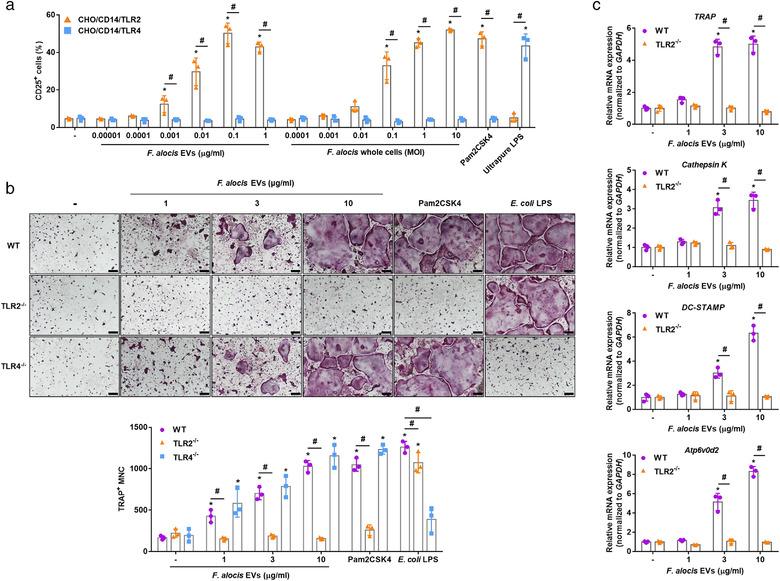 https://cdn.ncbi.nlm.nih.gov/pmc/blobs/903c/8516034/6a9a46ec99fd/JEV2-10-e12157-g004.jpg