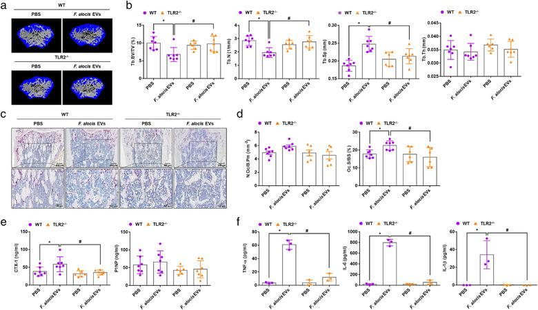 https://cdn.ncbi.nlm.nih.gov/pmc/blobs/903c/8516034/6d9b61259cb0/JEV2-10-e12157-g002.jpg