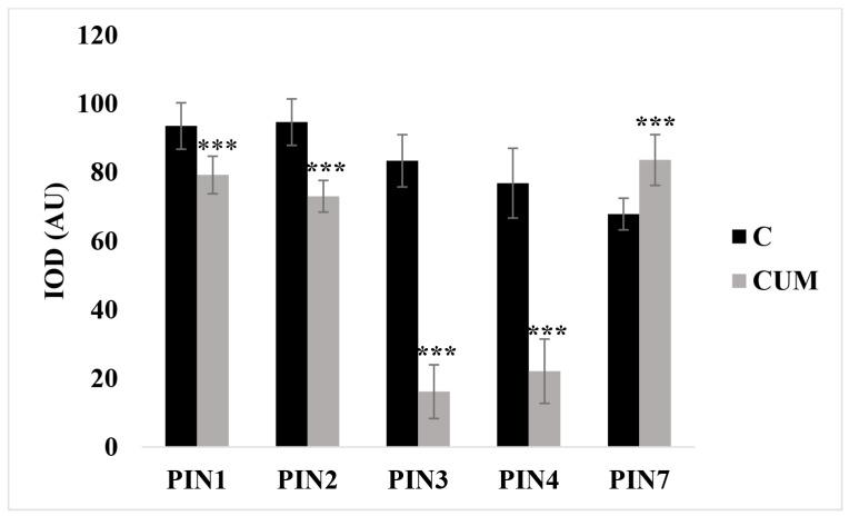 https://cdn.ncbi.nlm.nih.gov/pmc/blobs/903d/8306912/a25232b39b69/ijms-22-07305-g007.jpg