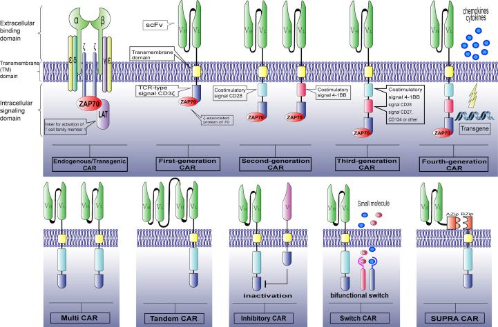https://cdn.ncbi.nlm.nih.gov/pmc/blobs/903e/6309024/9ee7a9d92532/gr1.jpg