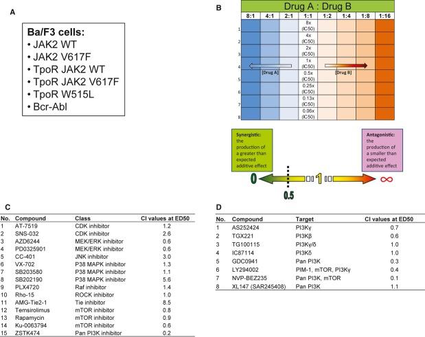 https://cdn.ncbi.nlm.nih.gov/pmc/blobs/9042/4117552/ed4c8242fb39/jcmm0017-1397-f1.jpg