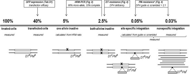 https://cdn.ncbi.nlm.nih.gov/pmc/blobs/9042/5684134/718723a33845/41598_2017_15206_Fig6_HTML.jpg