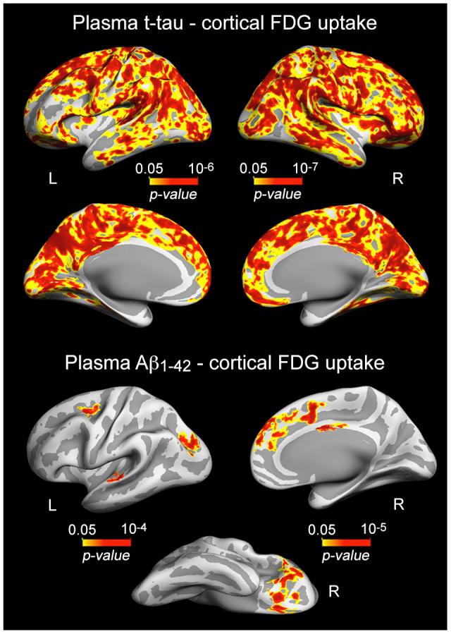 https://cdn.ncbi.nlm.nih.gov/pmc/blobs/9042/7695405/e7fb3ef81b6b/aging-12-104057-g002.jpg