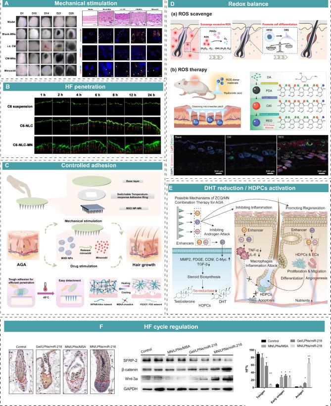 https://cdn.ncbi.nlm.nih.gov/pmc/blobs/9044/12048949/0aa3be55de61/12951_2025_3383_Fig6_HTML.jpg