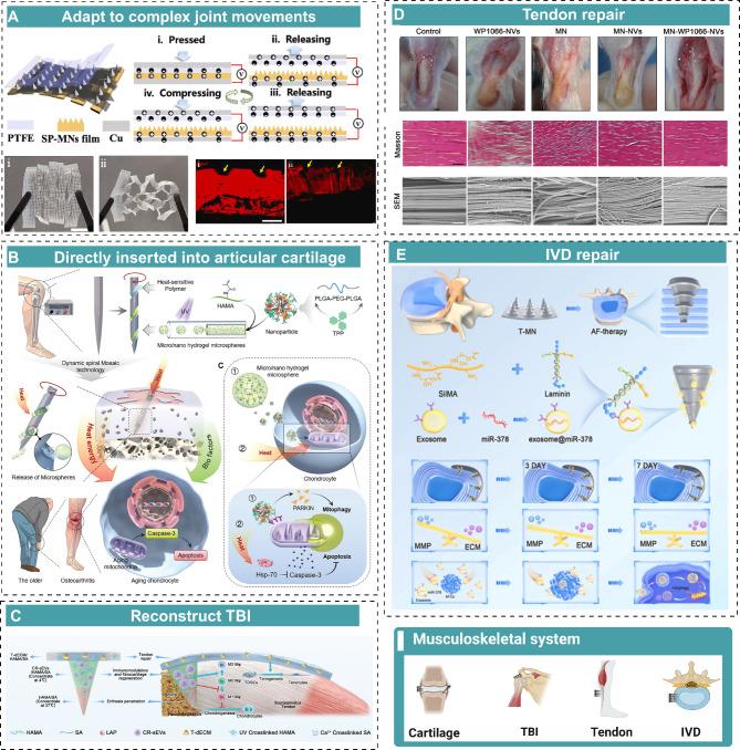 https://cdn.ncbi.nlm.nih.gov/pmc/blobs/9044/12048949/21bebd57ada9/12951_2025_3383_Fig8_HTML.jpg