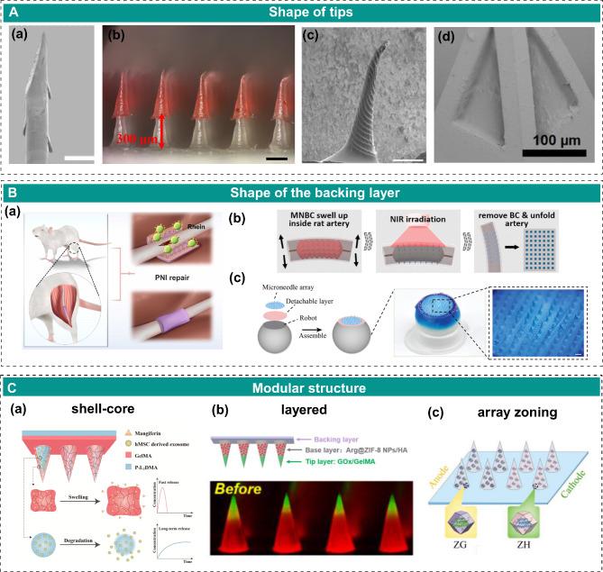 https://cdn.ncbi.nlm.nih.gov/pmc/blobs/9044/12048949/2ef39461c6d2/12951_2025_3383_Fig2_HTML.jpg