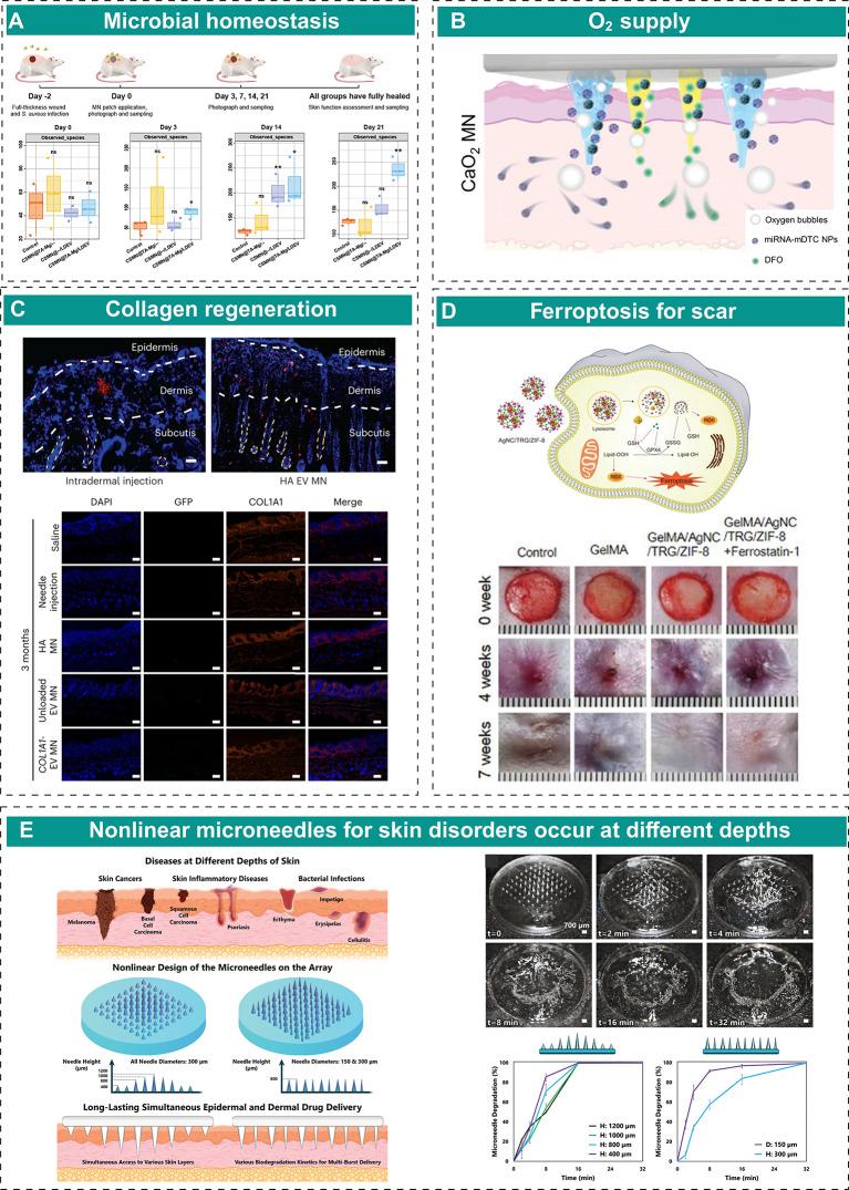 https://cdn.ncbi.nlm.nih.gov/pmc/blobs/9044/12048949/57b72ce6559a/12951_2025_3383_Fig5_HTML.jpg
