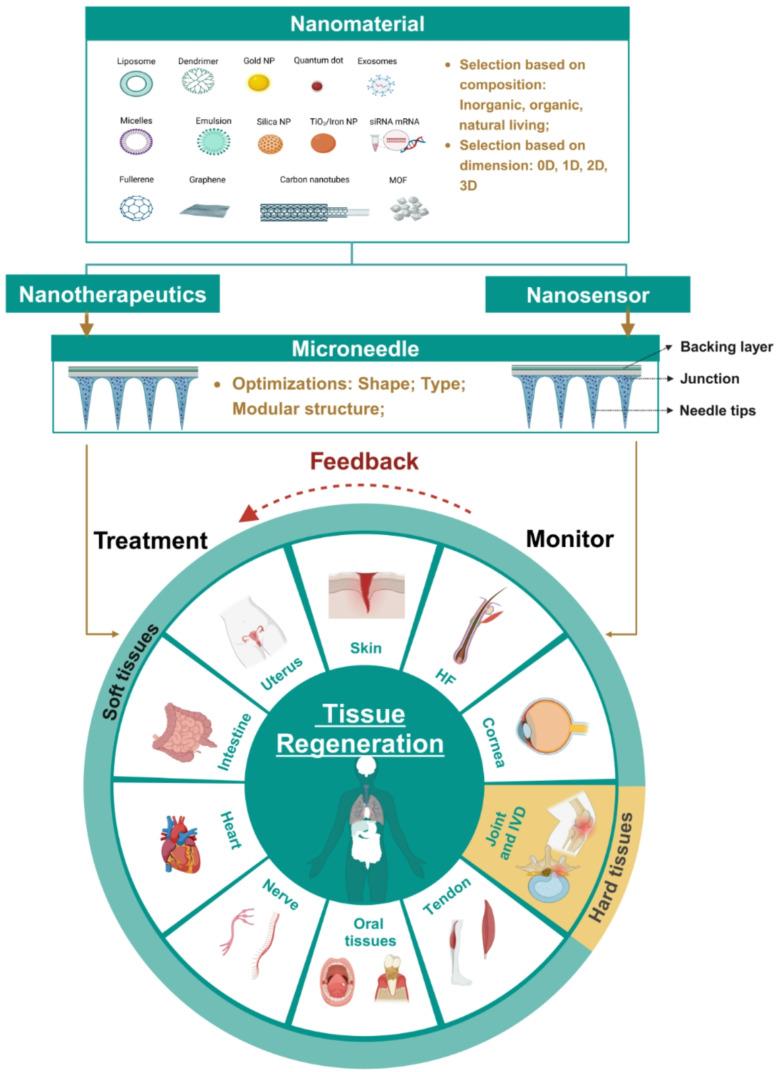 https://cdn.ncbi.nlm.nih.gov/pmc/blobs/9044/12048949/64304dd5dd0b/12951_2025_3383_Fig1_HTML.jpg
