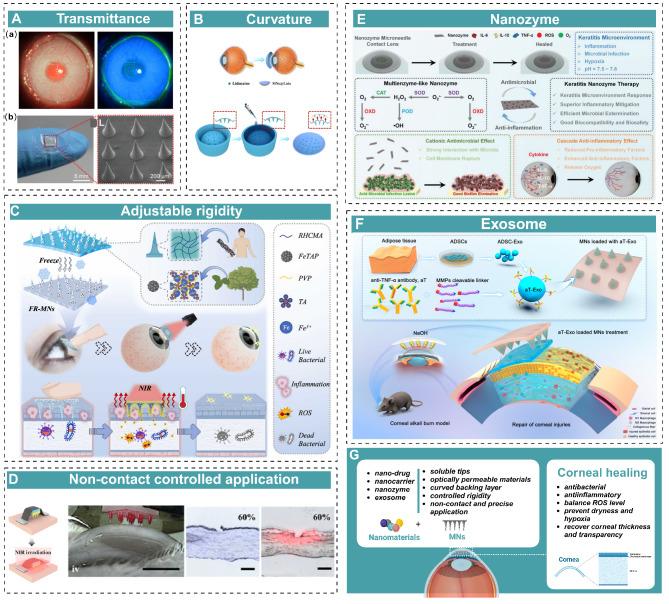 https://cdn.ncbi.nlm.nih.gov/pmc/blobs/9044/12048949/bd38c8bf861b/12951_2025_3383_Fig7_HTML.jpg