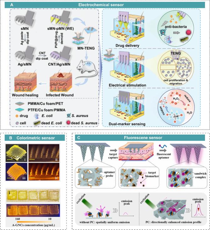 https://cdn.ncbi.nlm.nih.gov/pmc/blobs/9044/12048949/ea33eafdfed4/12951_2025_3383_Fig11_HTML.jpg