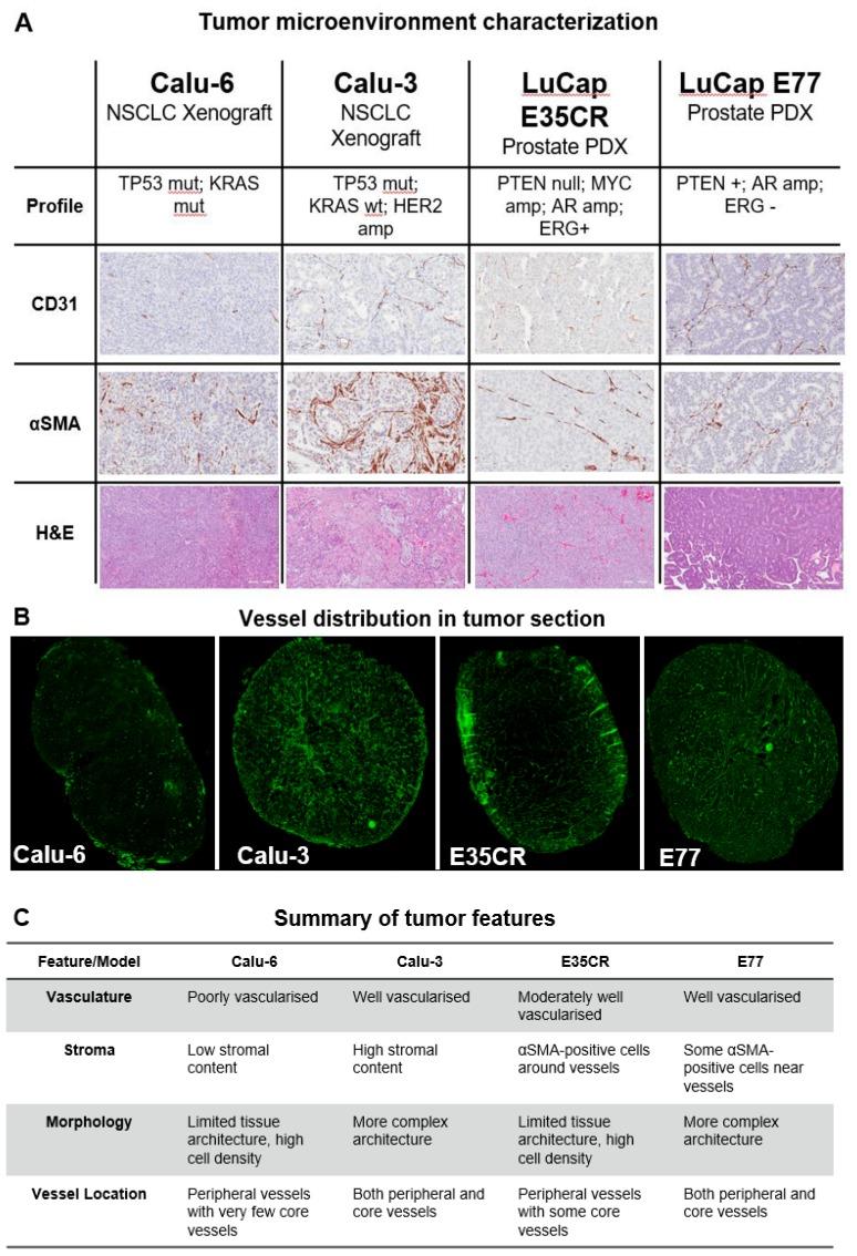 https://cdn.ncbi.nlm.nih.gov/pmc/blobs/9045/6929971/3393254529f2/thnov10p0880g002.jpg