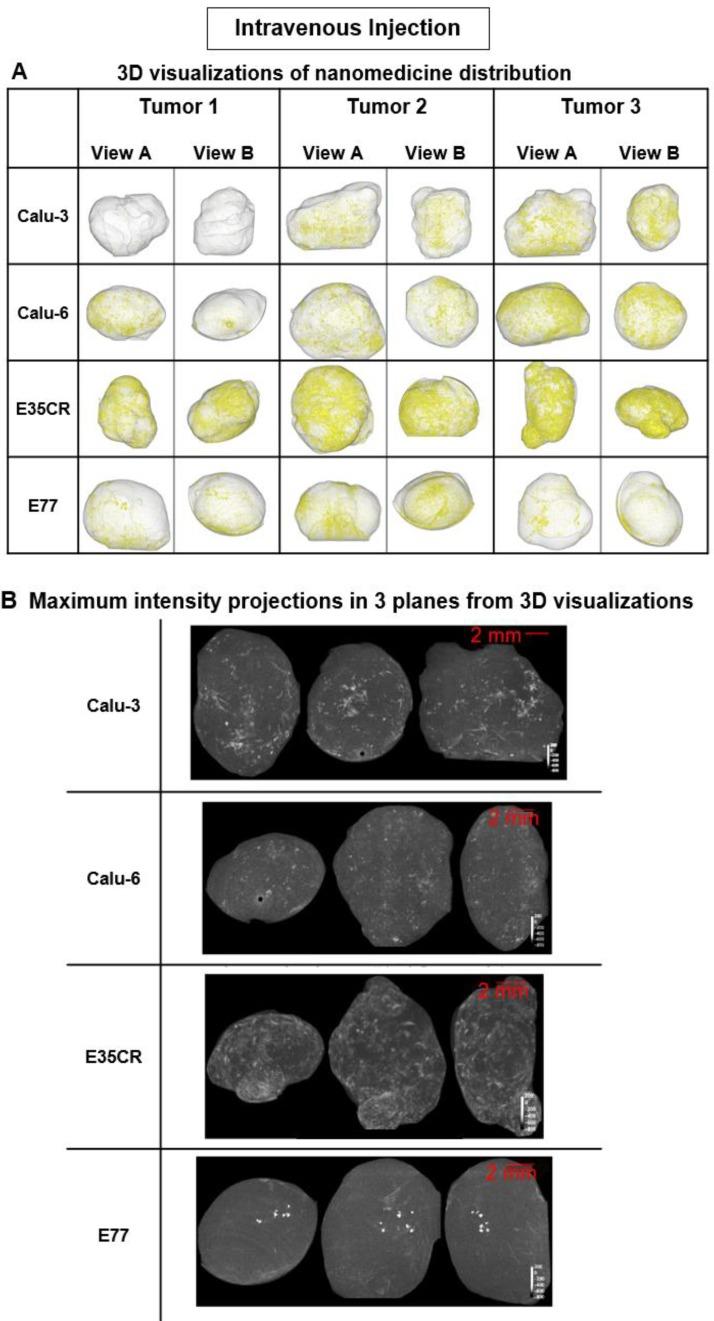 https://cdn.ncbi.nlm.nih.gov/pmc/blobs/9045/6929971/d730712c3d2e/thnov10p0880g004.jpg