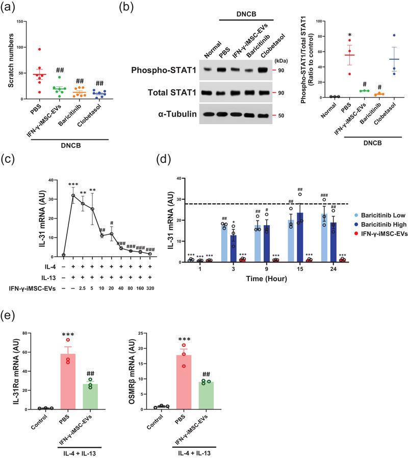 https://cdn.ncbi.nlm.nih.gov/pmc/blobs/9048/12183344/db3425b37f87/JEX2-4-e70067-g003.jpg