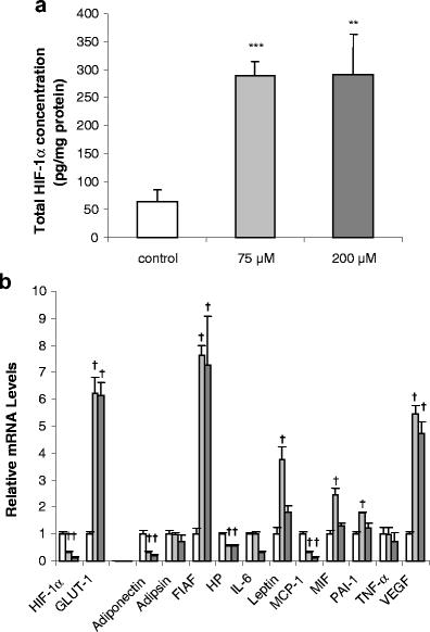 https://cdn.ncbi.nlm.nih.gov/pmc/blobs/9048/2040175/e8f0b7e94319/424_2007_301_Fig2_HTML.jpg