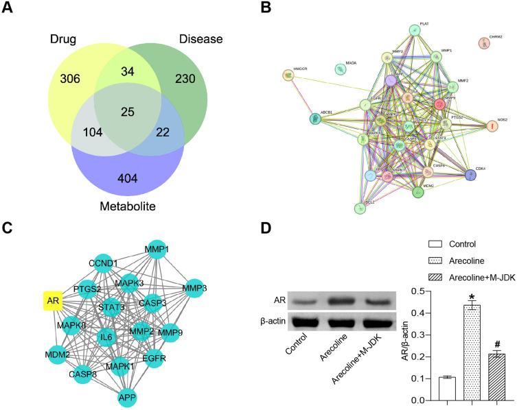 https://cdn.ncbi.nlm.nih.gov/pmc/blobs/9049/10581390/221296ea4068/DDDT-17-3085-g0004.jpg