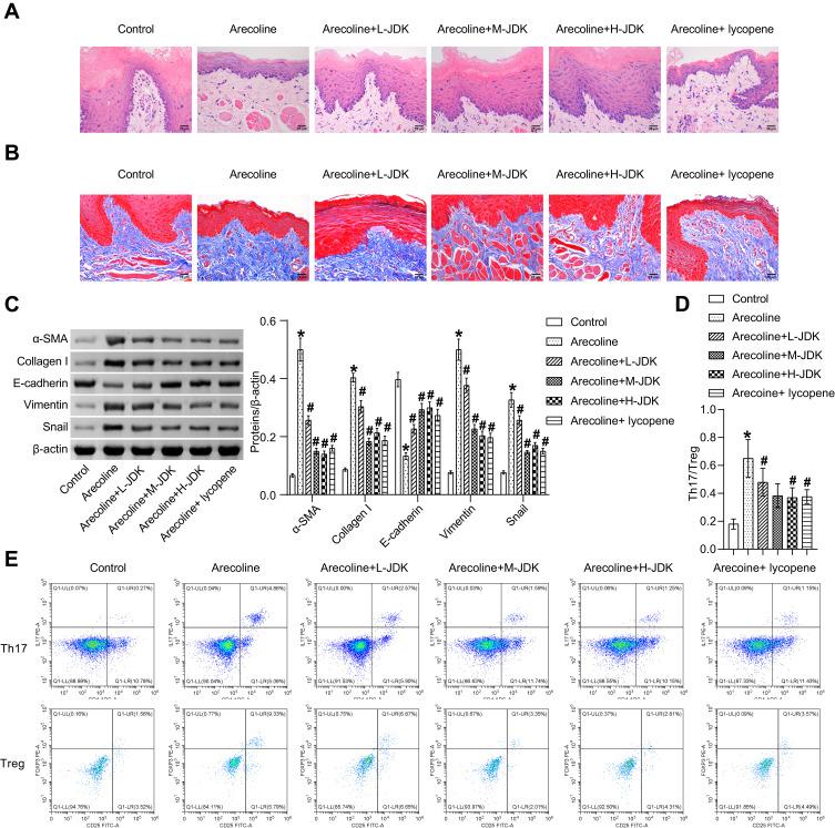 https://cdn.ncbi.nlm.nih.gov/pmc/blobs/9049/10581390/875b82cff23c/DDDT-17-3085-g0002.jpg