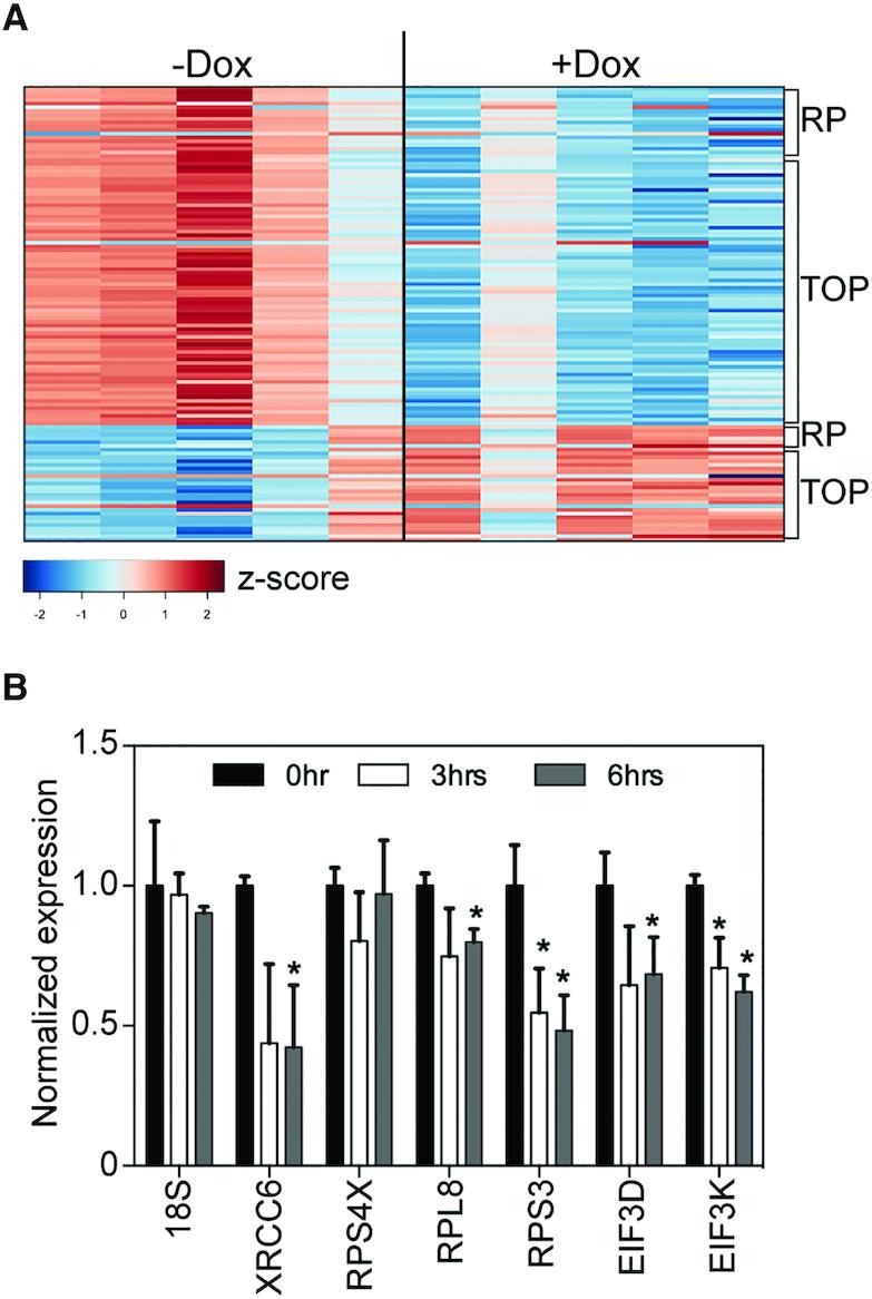 https://cdn.ncbi.nlm.nih.gov/pmc/blobs/9049/7144985/1d6f0de2e093/gkaa046fig3.jpg