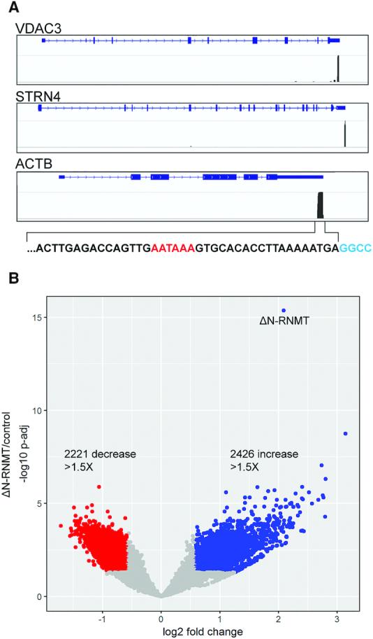 https://cdn.ncbi.nlm.nih.gov/pmc/blobs/9049/7144985/e31e10526b68/gkaa046fig2.jpg