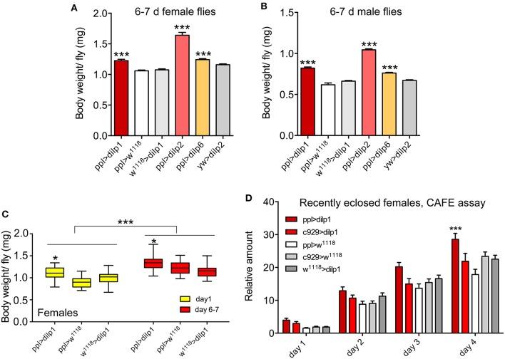 https://cdn.ncbi.nlm.nih.gov/pmc/blobs/9049/7186318/78e7df92bb09/fendo-11-00180-g0005.jpg