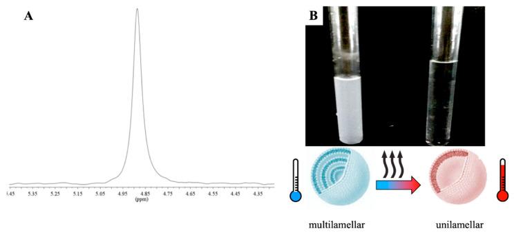 https://cdn.ncbi.nlm.nih.gov/pmc/blobs/9049/7555003/87693fe31824/ijms-21-06804-g001.jpg